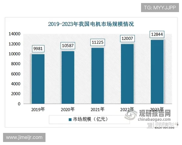 厄德高在国际舞台上的崛起与影响力分析及未来发展趋势探讨